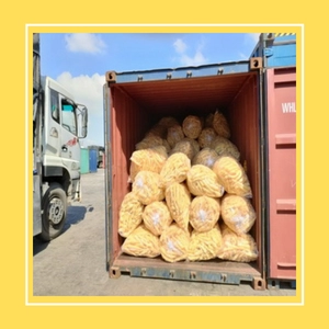 BAKED FISH MAW (TUBE SHAPE)
